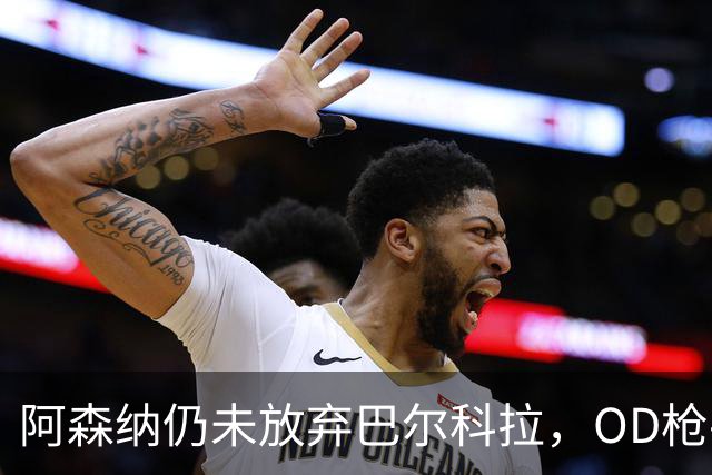 阿森纳仍未放弃巴尔科拉，OD枪手锋线补强计划迎来新目标